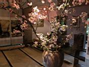 DSCN0029(800).JPG