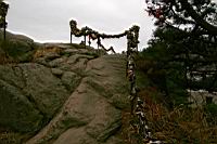 158.JPG