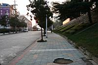 113.JPG