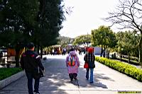 (800)023.jpg