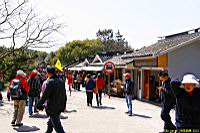 (800)024.jpg