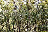 (800)025.jpg