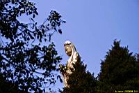 (800)027.jpg