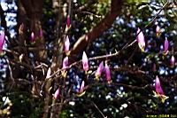 (800)040.jpg