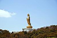 (800)041.jpg