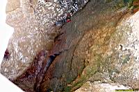 (800)059.jpg