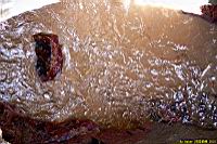 (800)060.jpg