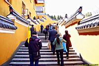 (800)079.jpg