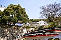 (800)080.jpg