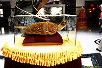 (800)089.jpg