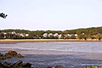 (800)151.jpg