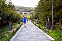 (800)181.jpg