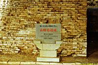 195.jpg