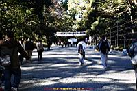 06.jpg