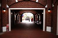 04.jpg